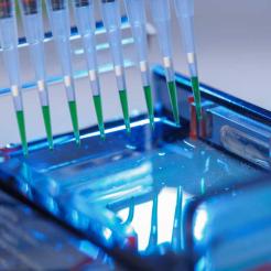 Electrophoresis chambers and gels