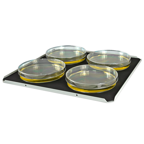 Flache Plattform mit Anti-Rutsch-Matte