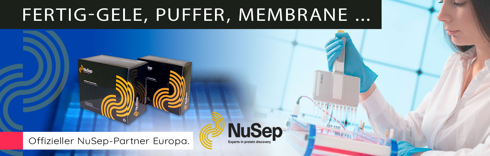 Elektrophorese-Gele von NuSep