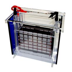 Elektrophorese Blotter